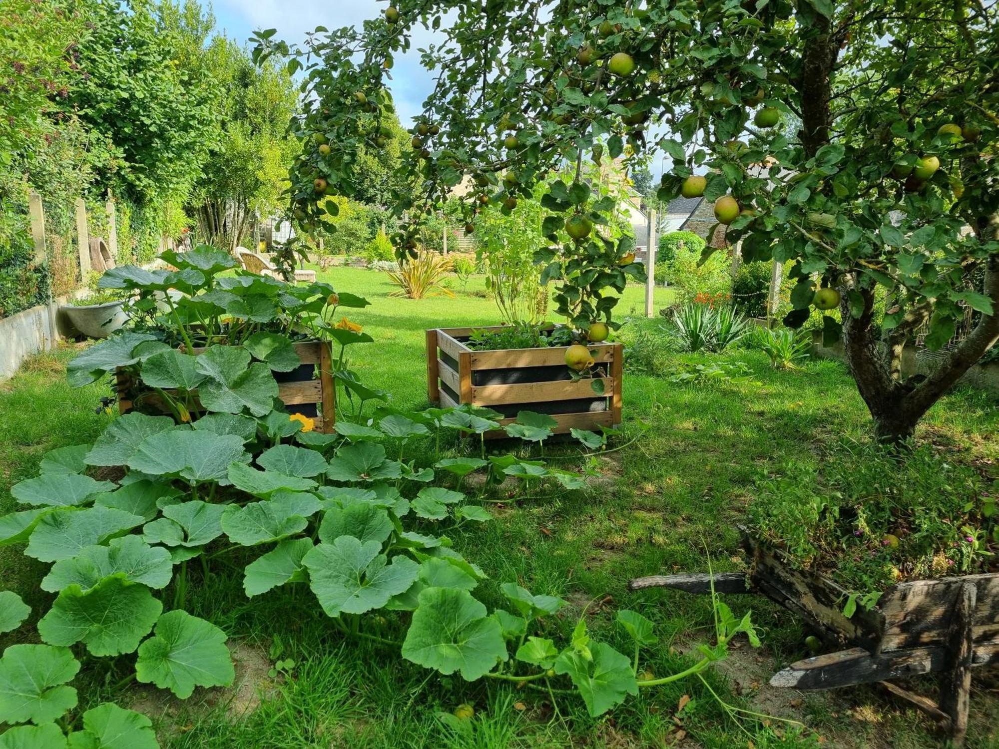 Les Forges Du Lou Daire Jugon-les-Lacs Dış mekan fotoğraf